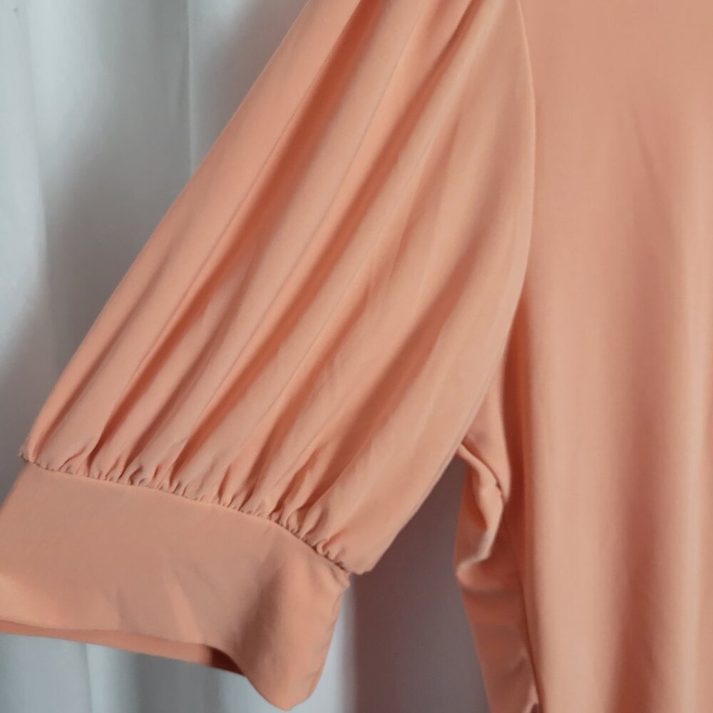 Notations Blouse NEW Peach XL NWT Dressy Feminine Workwear Pleat Metal clip BOHO - Picture 6 of 11